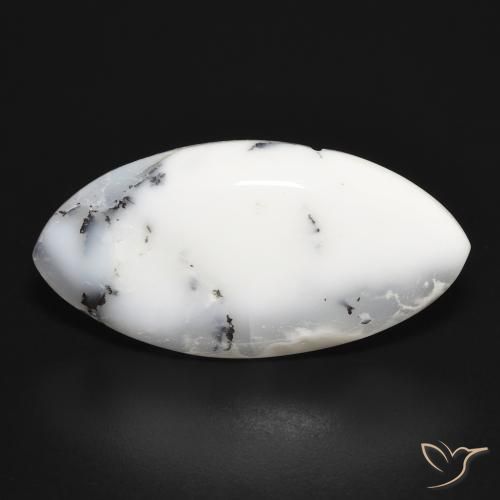 17.03ct طبيعي أبيض مع أسود عقيق شجيري, ماركيز, غير شفاف