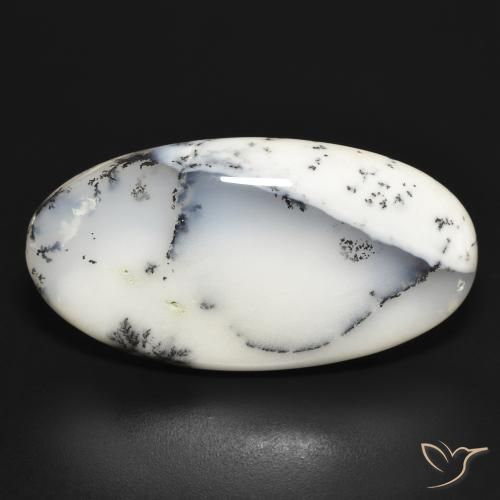 32.41ct طبيعي أبيض مع أسود عقيق شجيري, بيضوي, غير شفاف