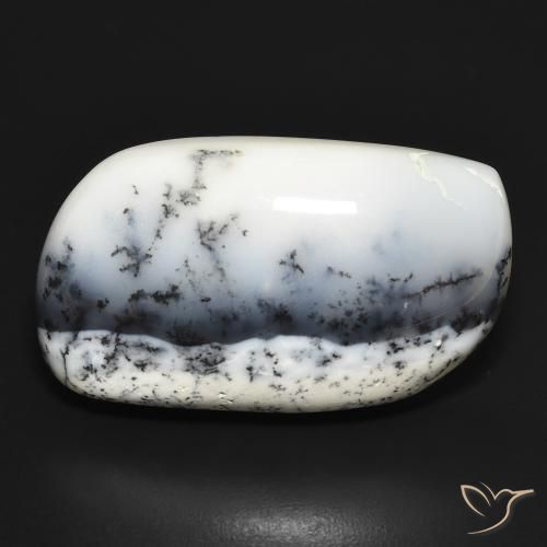 30.95ct طبيعي أبيض مع أسود عقيق شجيري, فانسى, غير شفاف