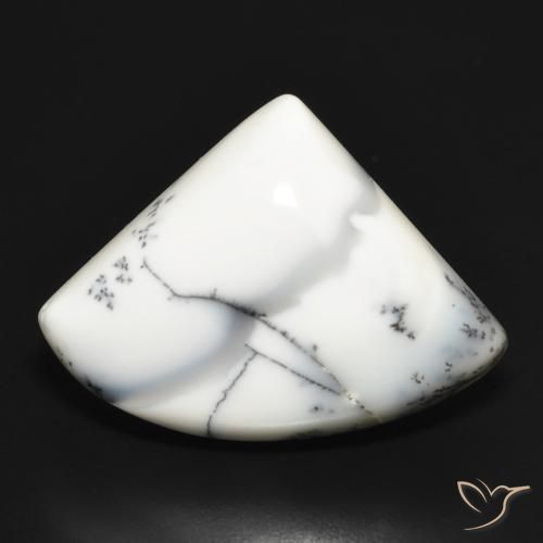 20.70ct طبيعي أبيض مع أسود عقيق شجيري, فانسى, غير شفاف