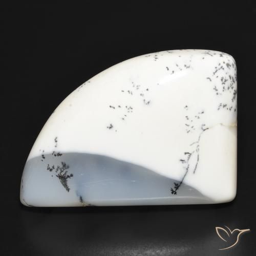 39.45ct طبيعي أبيض مع أسود عقيق شجيري, فانسى, غير شفاف