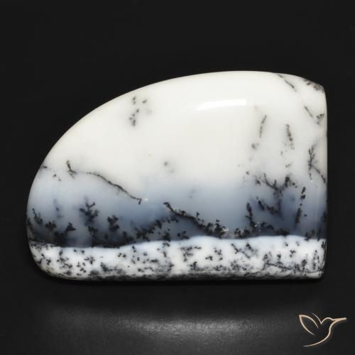 37.40ct طبيعي أبيض مع أسود عقيق شجيري, فانسى, غير شفاف