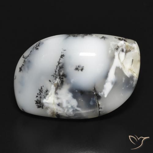 18.88ct طبيعي أبيض مع أسود عقيق شجيري, فانسى, غير شفاف