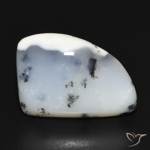 12.20ct طبيعي أبيض مع أسود عقيق شجيري, فانسى, غير شفاف