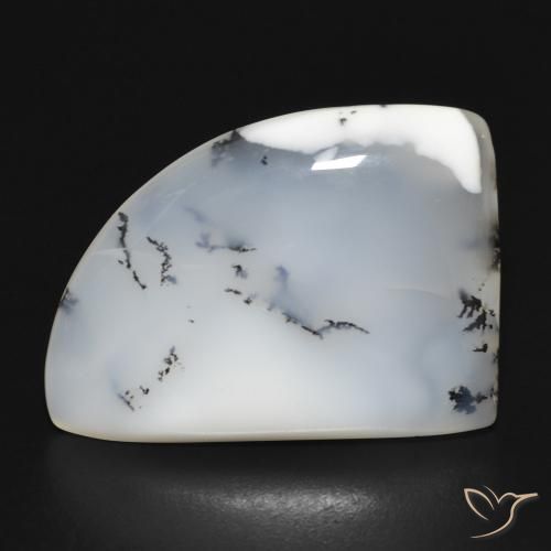 17.05ct طبيعي أبيض مع أسود عقيق شجيري, فانسى, غير شفاف