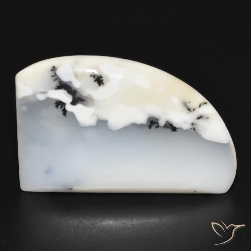 21.77ct طبيعي أبيض مع أسود عقيق شجيري, فانسى, غير شفاف