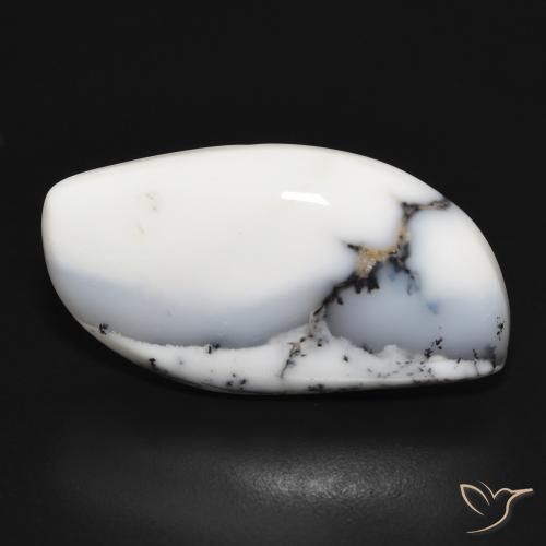20.34ct طبيعي أبيض مع أسود عقيق شجيري, فانسى, غير شفاف