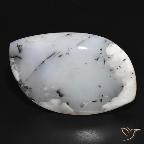 38.75ct طبيعي أبيض مع أسود عقيق شجيري, فانسى, غير شفاف