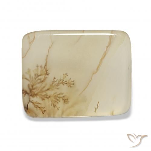 4.40ct متعدد الألوان عقيق شجيري, وسادة, شفاف