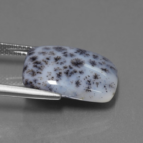 كالسيدونى شجيري متعدد الألوان طبيعي، قطع وسادة، 8.39 قيراط، غير شفاف