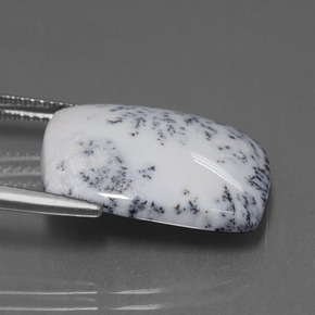 كالسيدونى شجيري متعدد الألوان طبيعي، قطع وسادة، 11.33 قيراط، غير شفاف