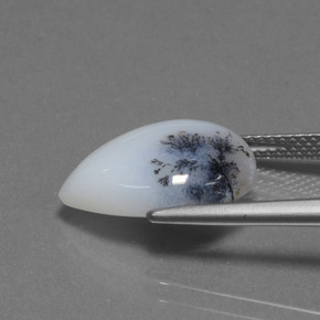 كالسيدونى شجيري متعدد الألوان طبيعي، شكل الكمثرى، 6.98 قيراط، نصف شفاف