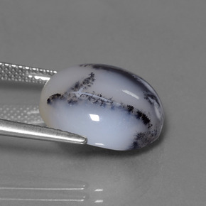 كالسيدوني شجيري متعدد الألوان طبيعي، قصة دائرى، 11.38 قيراط، نصف شفاف