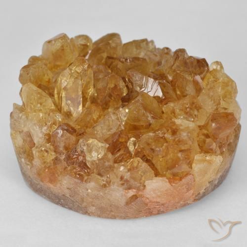 64.51ct طبيعي بني ذهبي سيترين دروزى, فانسى, غير شفاف