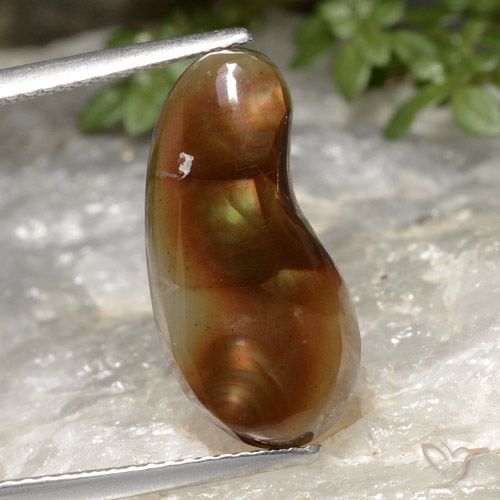 5.25ct طبيعي متعدد الألوان عقيق النار, فانسى, نصف شفاف