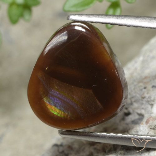 3.36ct طبيعي متعدد الألوان عقيق النار, فانسى, نصف شفاف