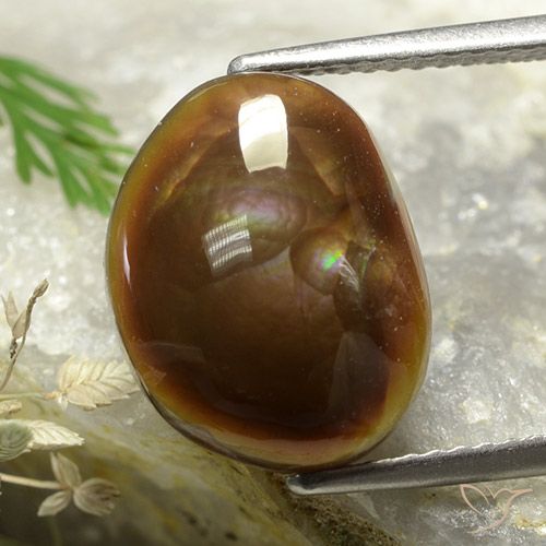 5.37ct طبيعي متعدد الألوان عقيق النار, فانسى, غير شفاف