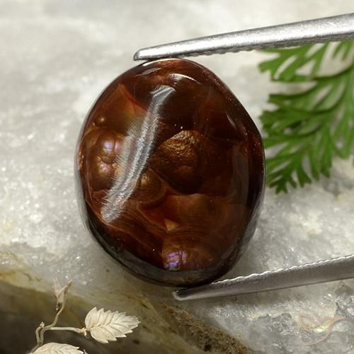 6.65ct طبيعي متعدد الألوان عقيق النار, بيضوي, غير شفاف