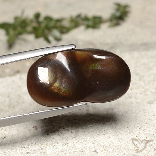 10.91ct طبيعي متعدد الألوان عقيق النار, فانسى, غير شفاف
