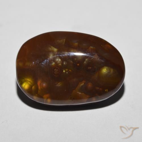 12.27ct طبيعي متعدد الألوان عقيق النار, فانسى, غير شفاف
