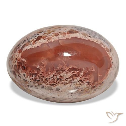 17.33ct متعدد الألوان أوبال ناري, بيضاوي, غير شفاف