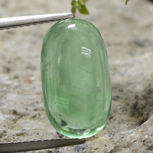 7.35ct طبيعي اخضر فاتح فلوريت, بيضوي, شفاف