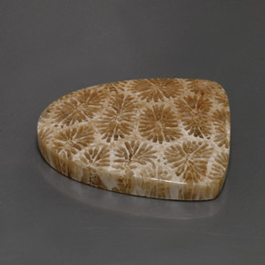 مرجان حجرى متعدد الألوان طبيعي، شكل خيالي، 25.71 قيراط، غير شفاف