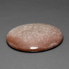 مرجان حجرى متعدد الألوان طبيعي، قصة بيضاوى، 91.59 قيراط، غير شفاف