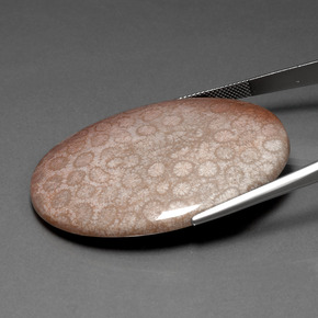 مرجان حجرى متعدد الألوان طبيعي، قصة بيضاوى، 91.59 قيراط، غير شفاف