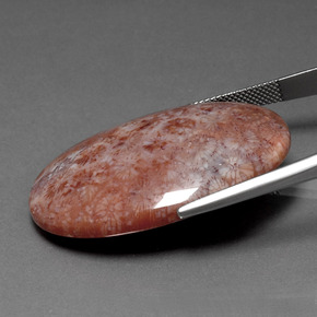 مرجان حجرى متعدد الألوان طبيعي، قصة بيضاوى، 51.88 قيراط، غير شفاف