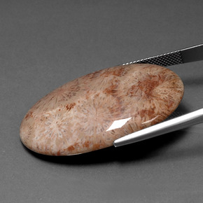 مرجان حجرى متعدد الألوان طبيعي، قصة بيضاوى، 46.53 قيراط، غير شفاف