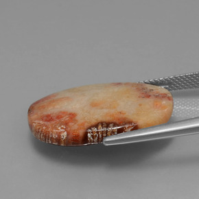 مرجان حجرى متعدد الألوان طبيعي، قصة بيضاوى، 15.17 قيراط، غير شفاف