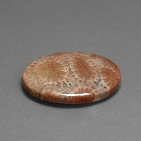 مرجان حجرى متعدد الألوان طبيعي، قصة بيضاوى، 16.75 قيراط، غير شفاف