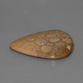 مرجان حجرى متعدد الألوان طبيعي، شكل الكمثرى، 53.96 قيراط، غير شفاف