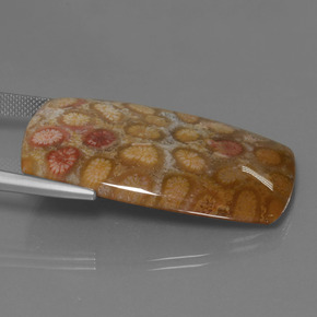 مرجان حجرى متعدد الألوان طبيعي، قطع وسادة، 45.68 قيراط، غير شفاف