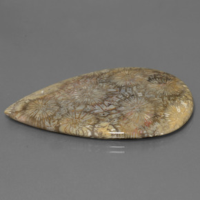 مرجان حجرى متعدد الألوان طبيعي، شكل الكمثرى، 70.58 قيراط، غير شفاف