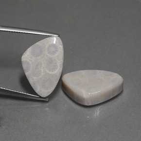 أحجار مرجان حجرى متعدد الألوان طبيعية، مثلثى، غير شفاف، وزنها  قيراط