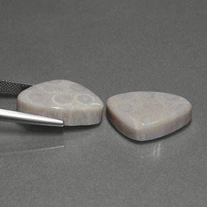 أحجار مرجان حجرى متعدد الألوان طبيعية، مثلثى، غير شفاف، وزنها  قيراط