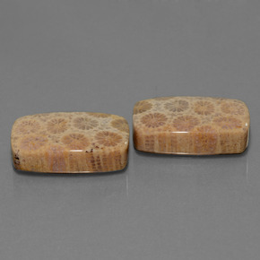 أحجار مرجان حجرى متعدد الألوان طبيعية، قطع وسادة، غير شفاف، وزنها  قيراط