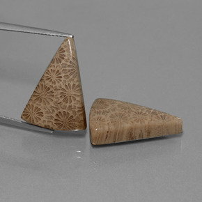 أحجار مرجان حجرى متعدد الألوان طبيعية، مثلثى، غير شفاف، وزنها  قيراط