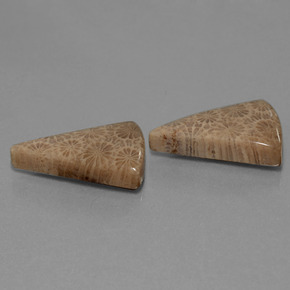 أحجار مرجان حجرى متعدد الألوان طبيعية، مثلثى، غير شفاف، وزنها  قيراط