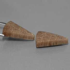 أحجار مرجان حجرى متعدد الألوان طبيعية، مثلثى، غير شفاف، وزنها  قيراط