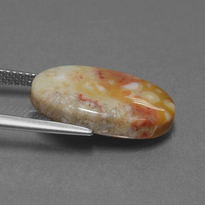 مرجان أحفوري متعدد الألوان طبيعي، قصة بيضاوى، 8.82 قيراط، غير شفاف