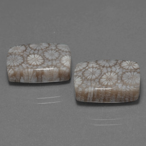 أحجار مرجان حجرى متعدد الألوان طبيعية، قطع وسادة، غير شفاف، وزنها  قيراط