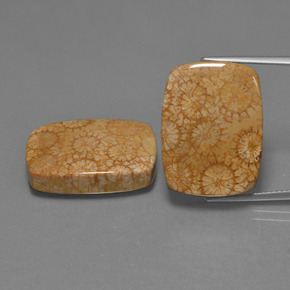 أحجار مرجان حجرى متعدد الألوان طبيعية، قطع وسادة، غير شفاف، وزنها  قيراط