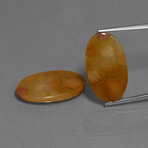 أحجار مرجان حجرى متعدد الألوان طبيعية، قصة بيضاوى، نصف شفاف، وزنها  قيراط