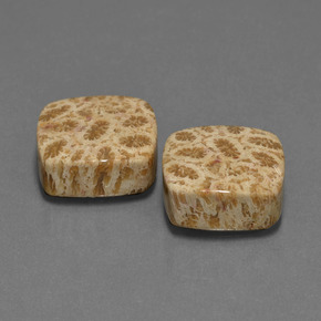 أحجار مرجان حجرى متعدد الألوان طبيعية، قطع وسادة، غير شفاف، وزنها  قيراط