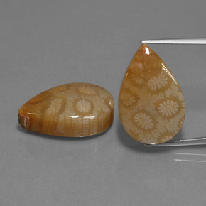 أحجار مرجان حجرى متعدد الألوان طبيعية، شكل الكمثرى، غير شفاف، وزنها  قيراط