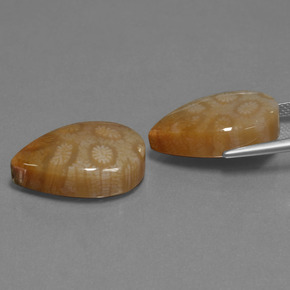 أحجار مرجان حجرى متعدد الألوان طبيعية، شكل الكمثرى، غير شفاف، وزنها  قيراط