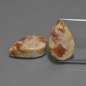 أحجار مرجان أحفوري متعدد الألوان طبيعية، شكل الكمثرى، غير شفاف، وزنها  قيراط